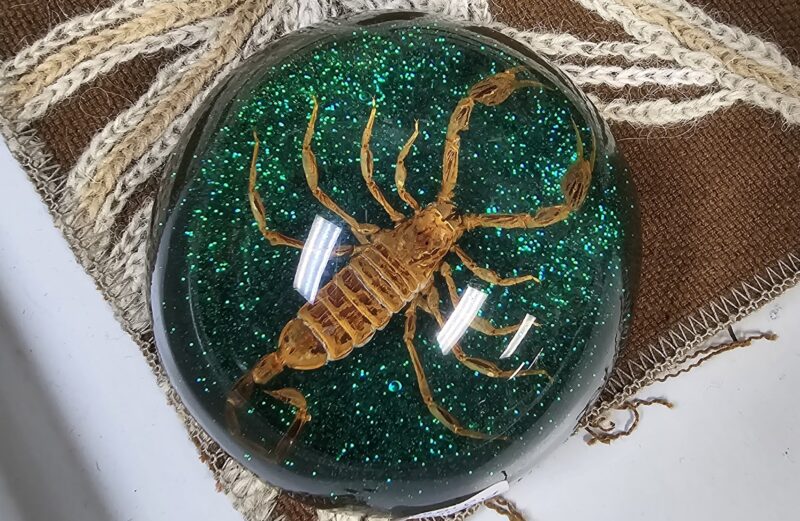 Scorpion Paperweight