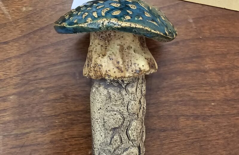 Turquois Mushroom – Pottery