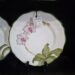 Present Tense “Orchid Garden” Dinner Plate #2 – #2826