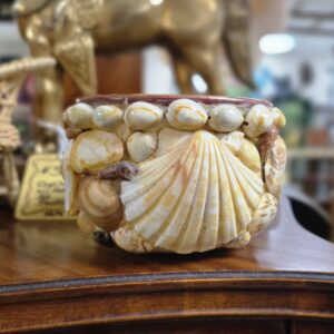 Shell Pot/Planter