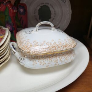 Covered Dish
