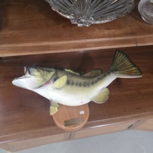 Largemouth Bass Mount - 1977 - 6lbs