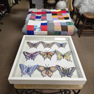 Framed Butterflies - #5456