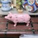 Pig Bank