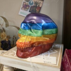 Rainbow Resin Skull