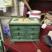 Small Green “Lemons” Chest